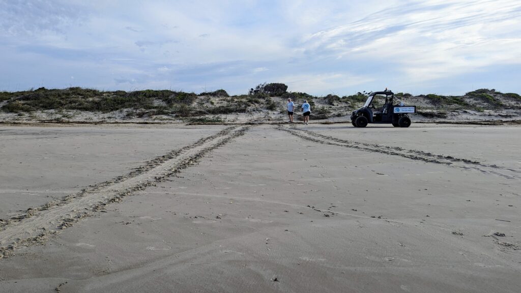 Caswell Beach 2024 Turtle Nest #7