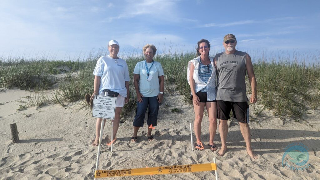 Caswell Beach 2024 Sea Turtle Nest #9 - Kemp's Ridley