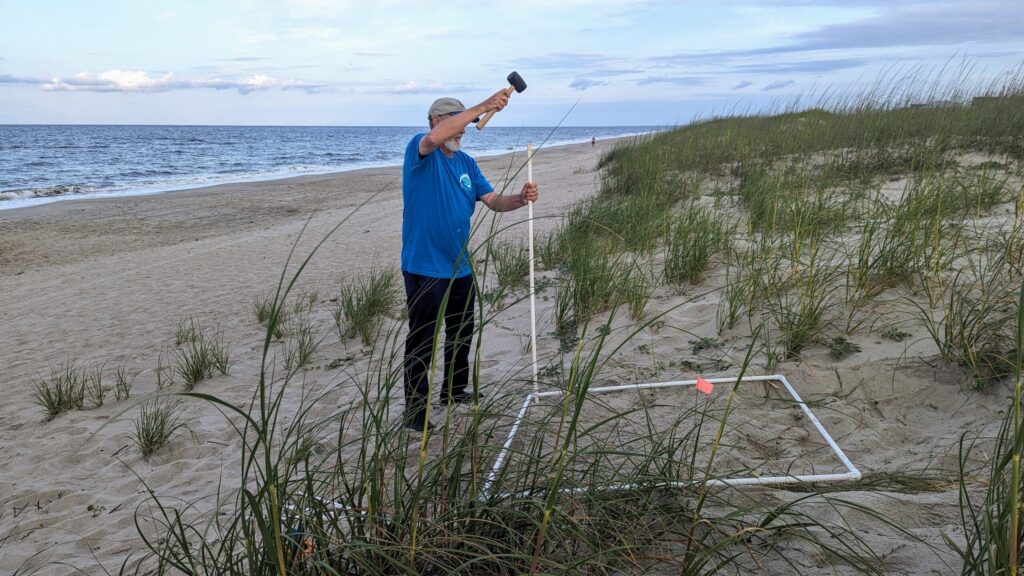 We Hit A Delightful Dozen Sea Turtle Nests