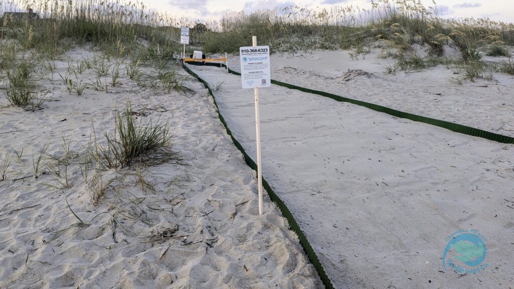New Sea Turtle Nest Runway Greening and Signage