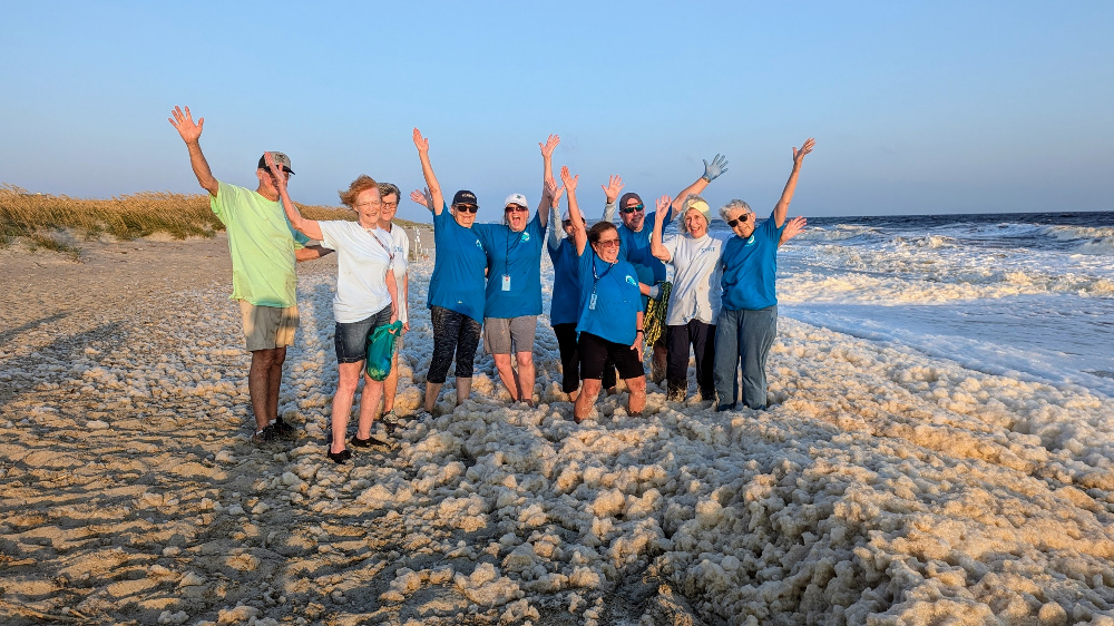 Sea Foam "Blobs" Dwarf Baby Sea Turtles At Caswell Beach!