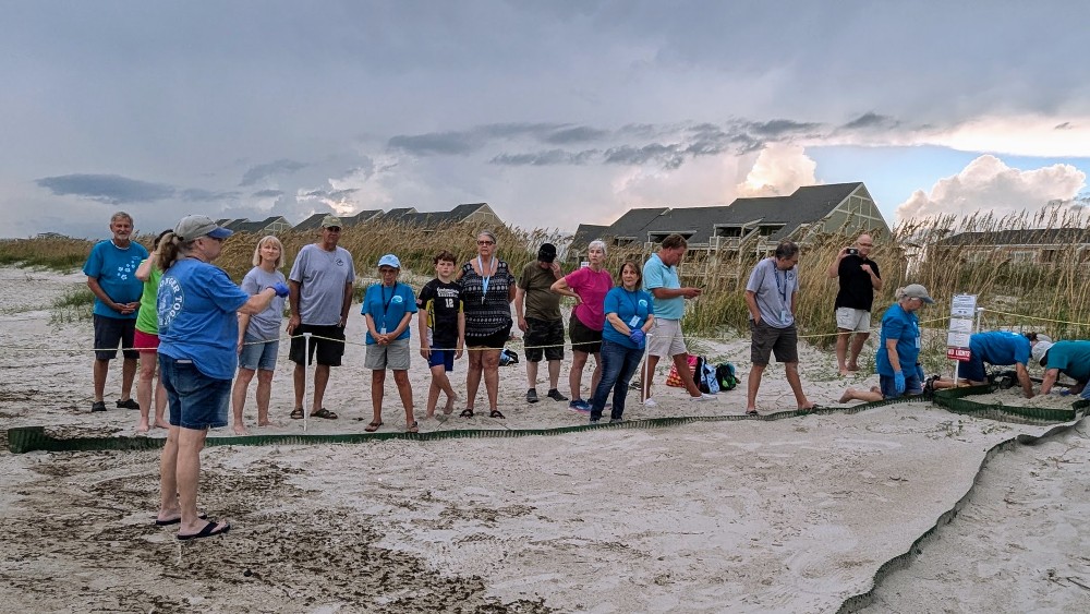 Sea Turtle Inventory Success Despite Storms!