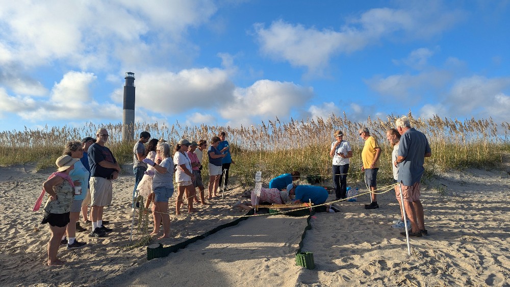 Mixed Results in Recent Sea Turtle Nest Inventories